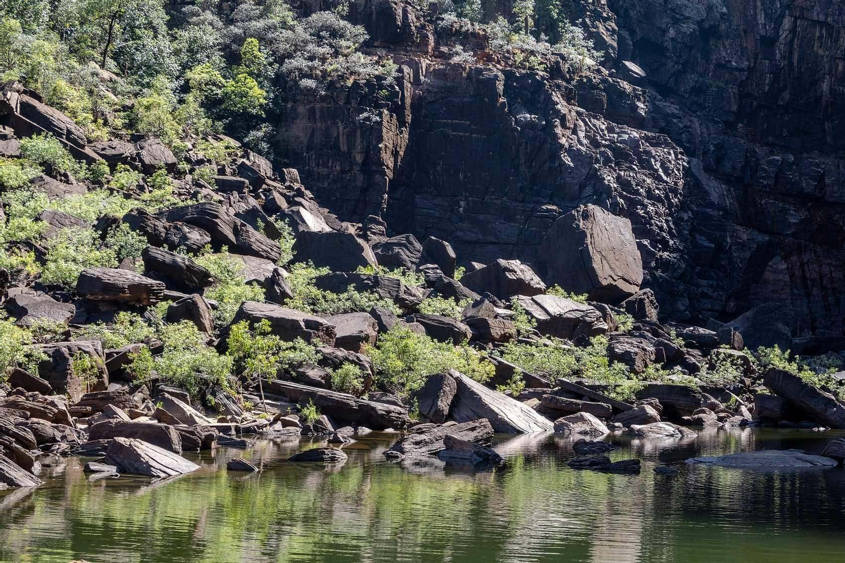 Wetlands and escarpment country in Kakadu National Park