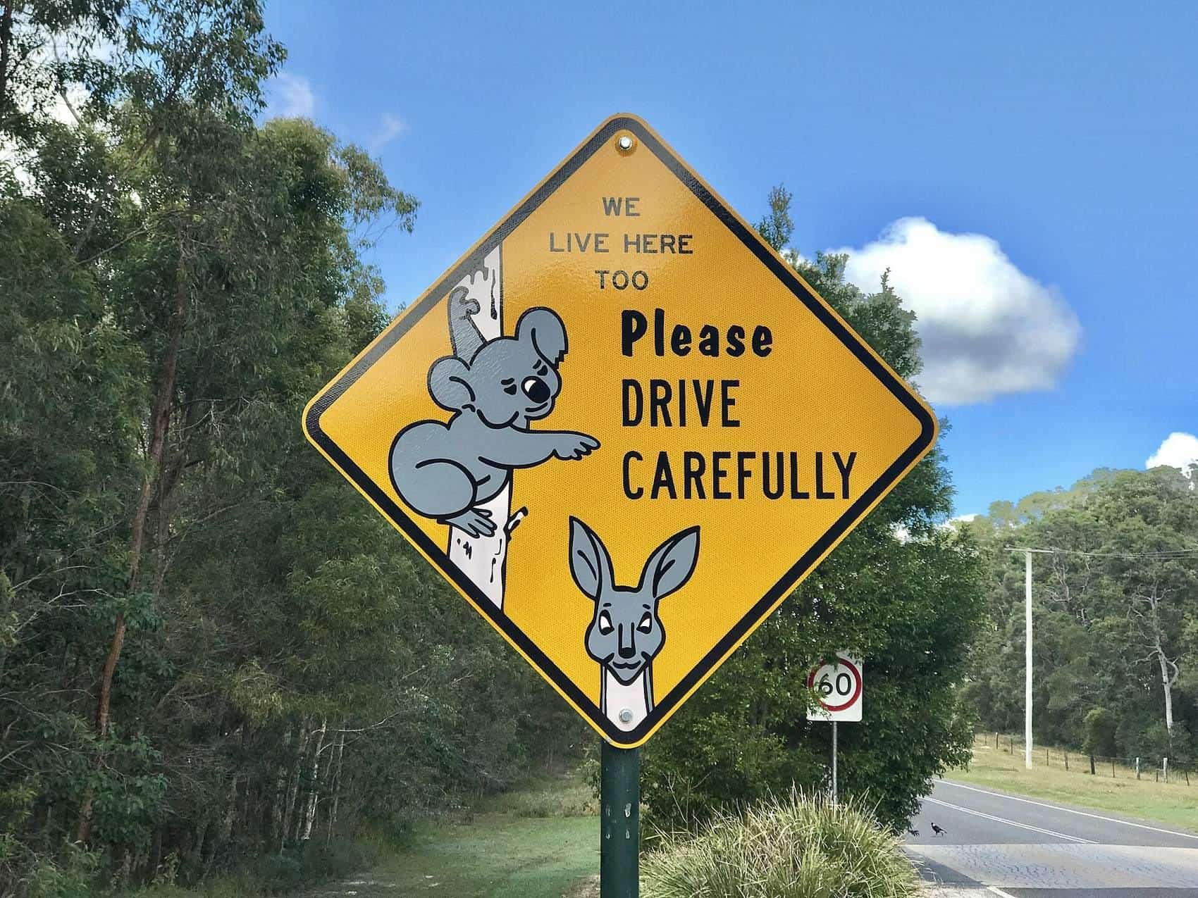 Australian road sign warning drivers to watch for wildlife