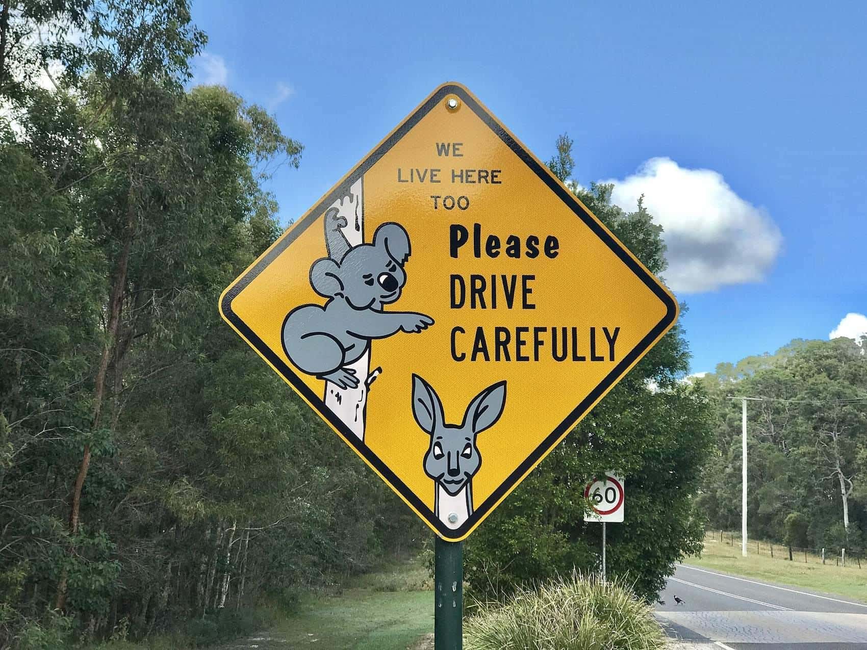 Australian road sign warning drivers to watch for wildlife