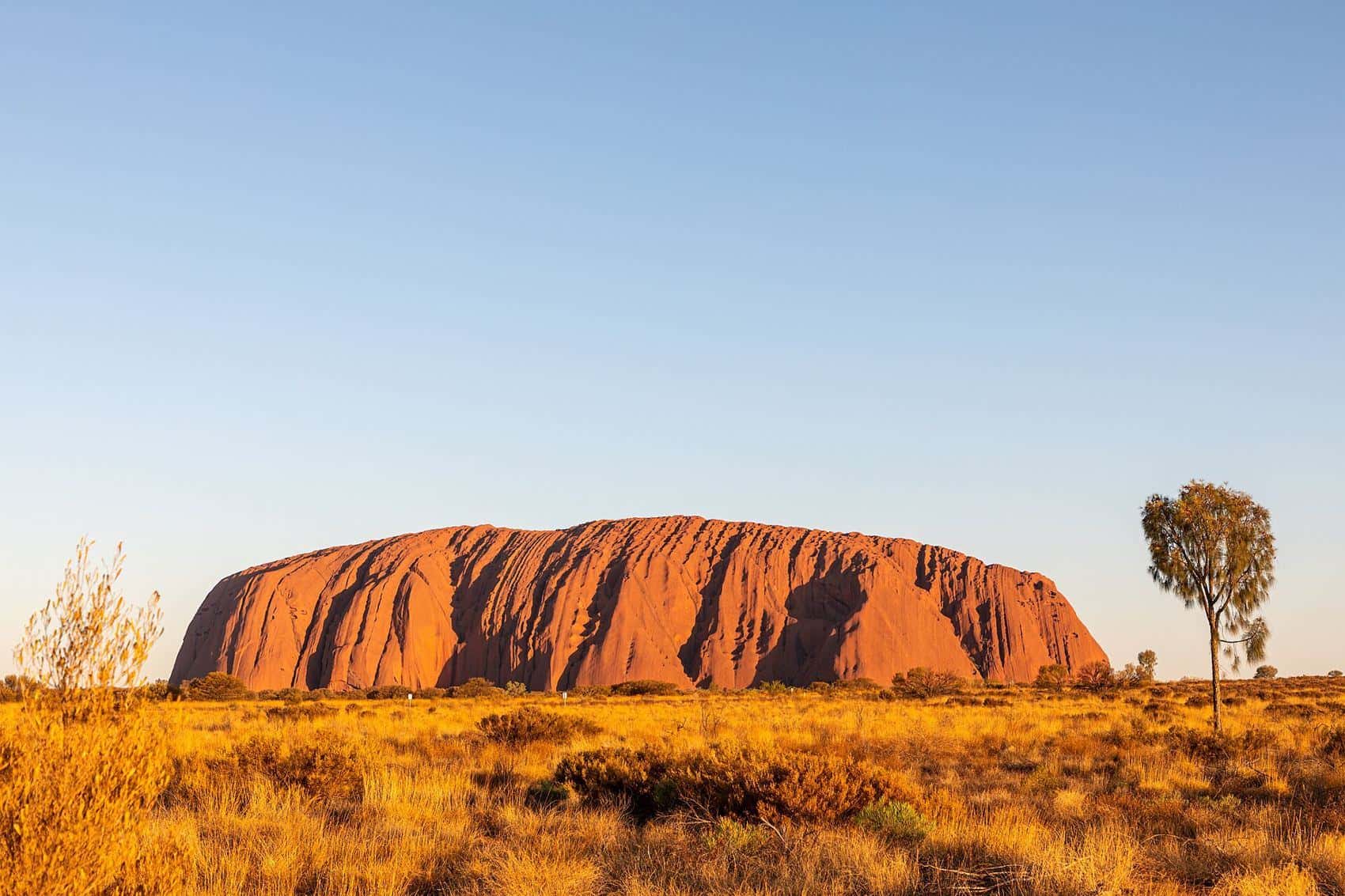 Uluru glowing red in the late afternoon light